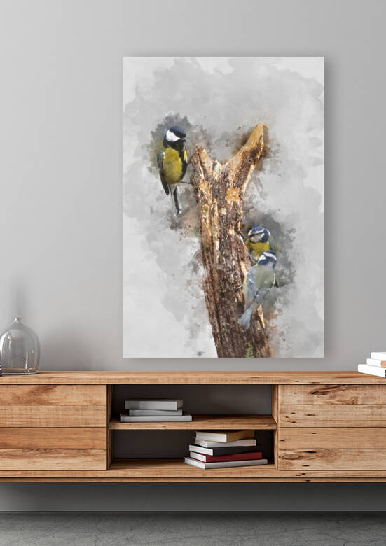 Image of Blue Tit bird Cyanistes Caeruleus on branich in Spring  by Matthew Gibson