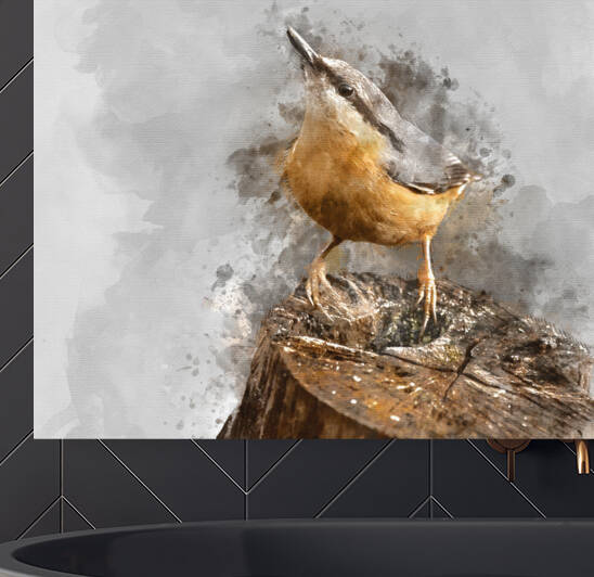Digitally created watercolor painting of Beautiful Nuthatch gard by Matthew Gibson