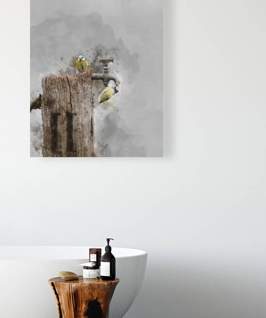 Image of Blue Tit bird Cyanistes Caeruleus on wooden post with r by Matthew Gibson