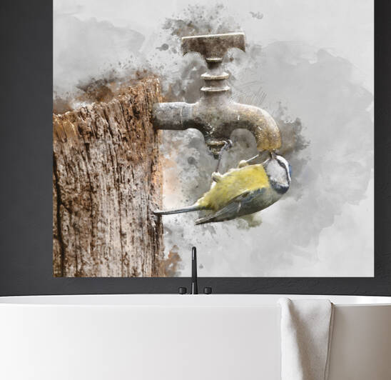 Digital watercolour painting of Image of Blue Tit bird Cyanistes by Matthew Gibson