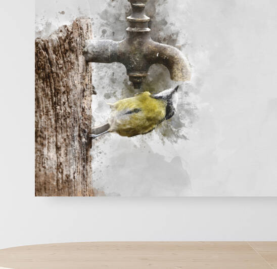 Digital watercolour painting of Colourful vibrant Great Tit bird by Matthew Gibson