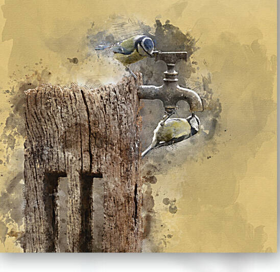 Digital watercolour painting of Image of Blue Tit bird Cyanistes by Matthew Gibson