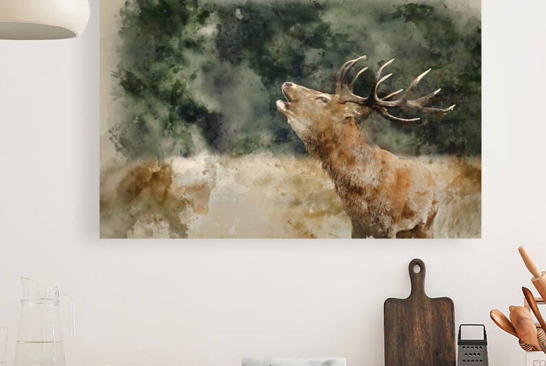 Digitally created watercolor painting of portrait of red deer st by Matthew Gibson