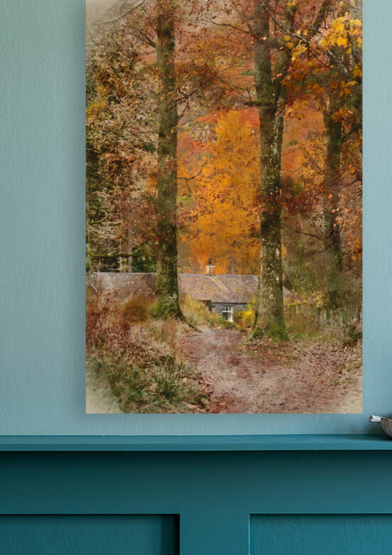Stunning Autumn forest landscape image of cabin in the woods sur by Matthew Gibson