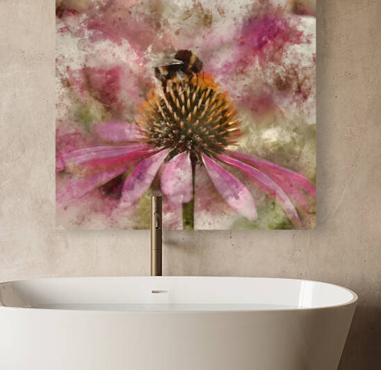 Beautiful close up image of Purple Coneflower Echinacwa Purpurea by Matthew Gibson