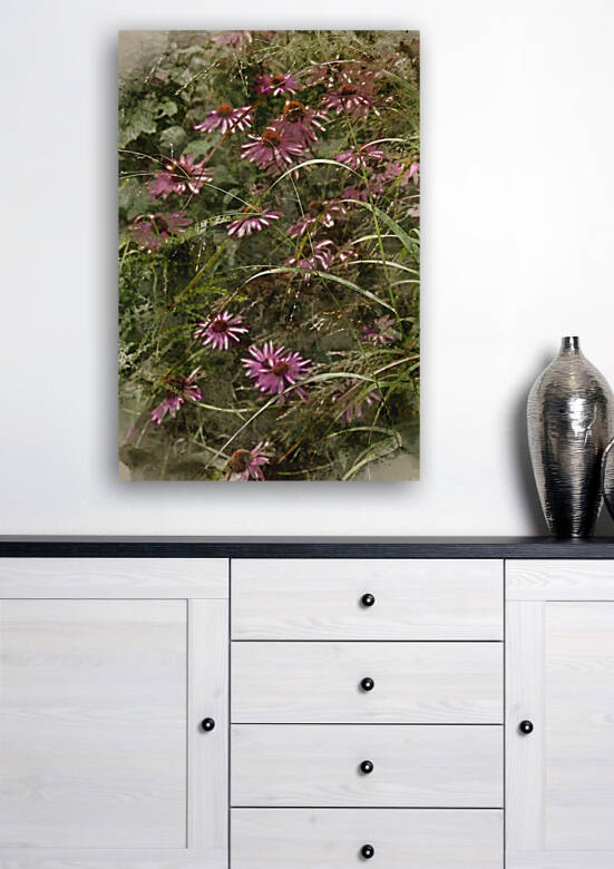 Beautiful close up image of Purple Coneflower Echinacea Purpurea by Matthew Gibson