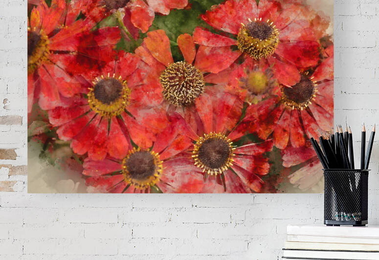 Beautiful colorfjul image of Common Sneezeweed Helenium Autumnal by Matthew Gibson