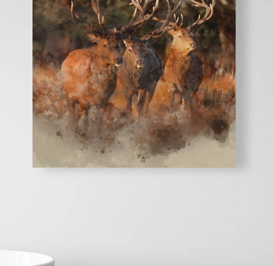 Stunning picture of a herd of red deer stags Cervus Elaphus in g by Matthew Gibson