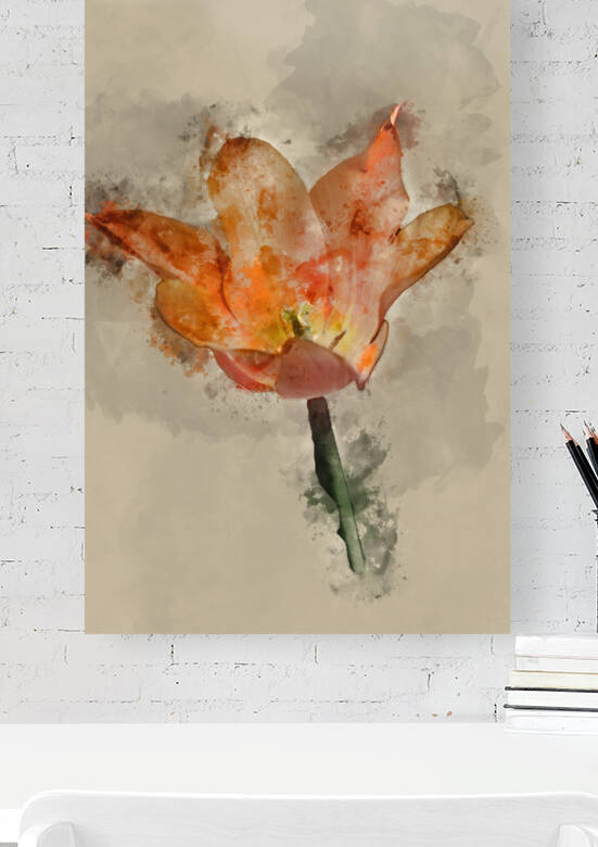 Digital watercolor painting of Beautiful Spring image of Tulipa  by Matthew Gibson