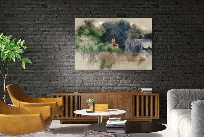 Digital watercolour image of Beautiful image of Marsh Harrier Ci by Matthew Gibson