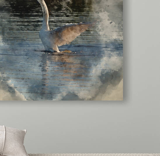 Digitally created watercolour painting of Graceful Mute Swan Cyg by Matthew Gibson