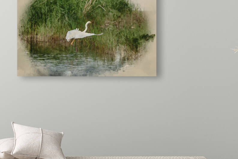 Digitally created watercolour painting of Lovely image of beauti by Matthew Gibson