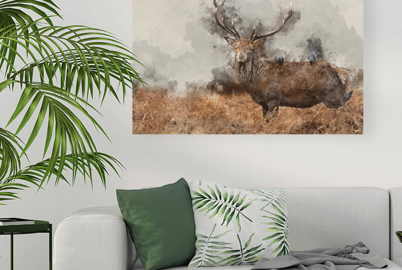 Digital watercolour painting of Lovely image of red deer Stag Ce by Matthew Gibson