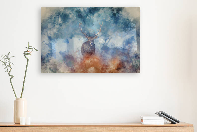 Digital watercolour painting of Stunning red deer stag Cervus El by Matthew Gibson
