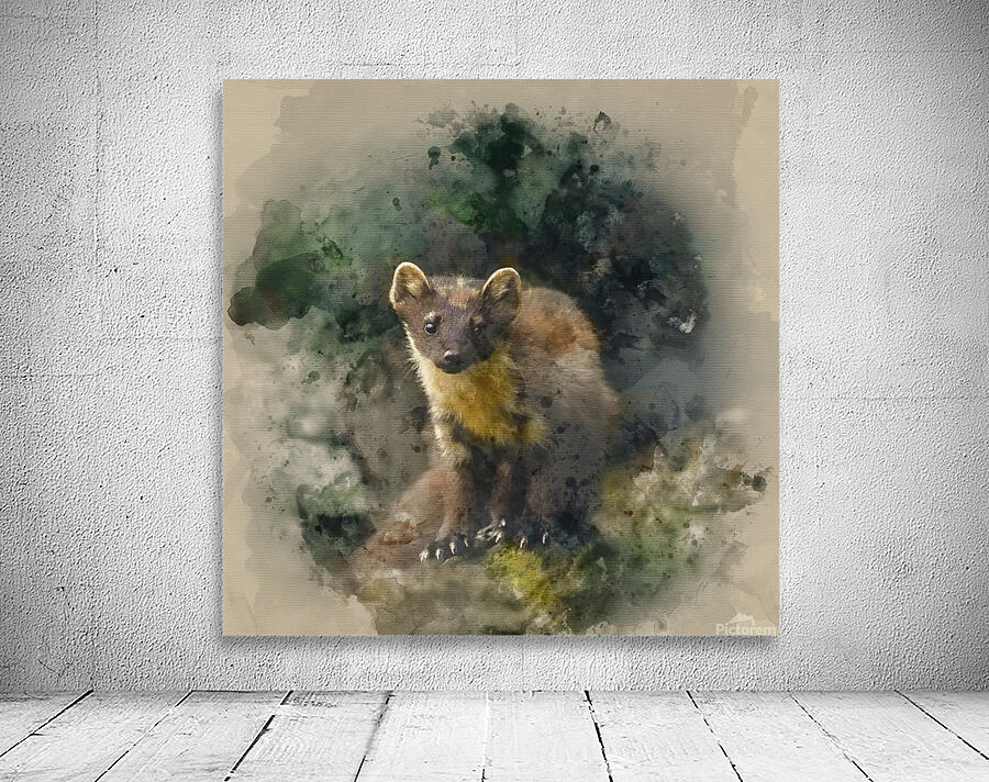Pine Marten Watercolour Wall Preview