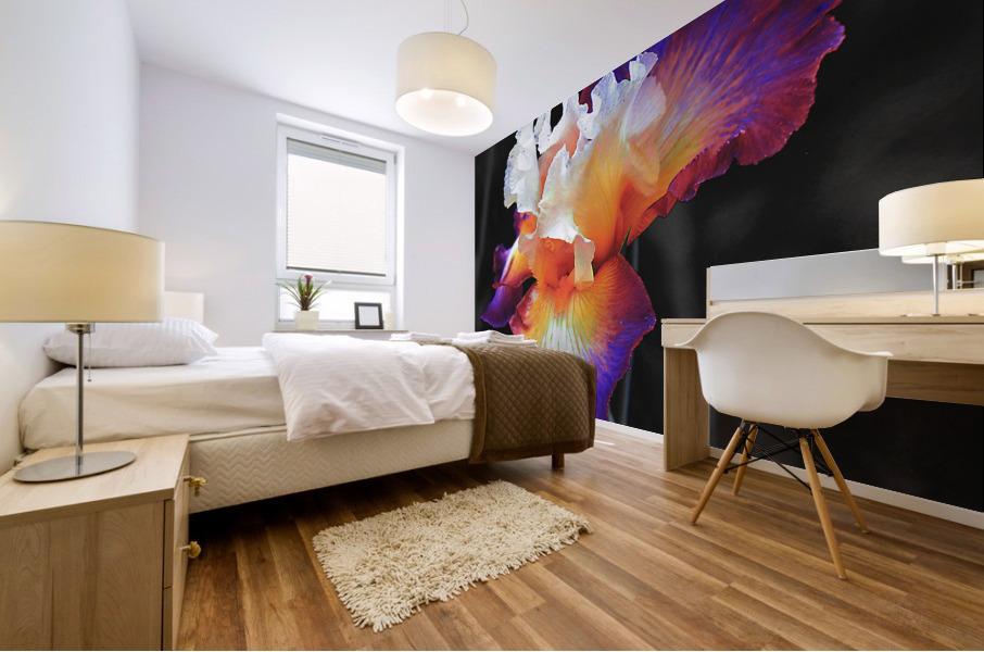 Iris Mural print