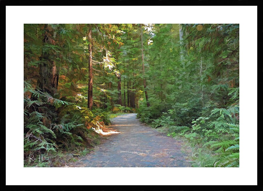 forest path Picture Frame print