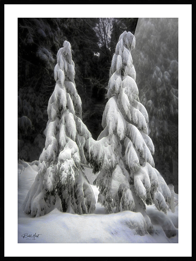 After the Storm Picture Frame print