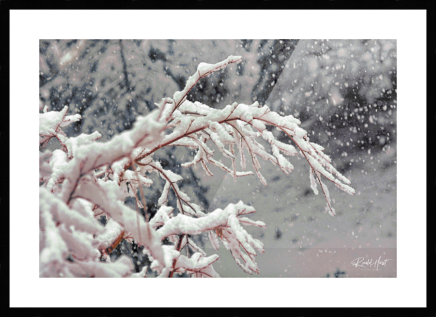 A Snowy Day Picture Frame print