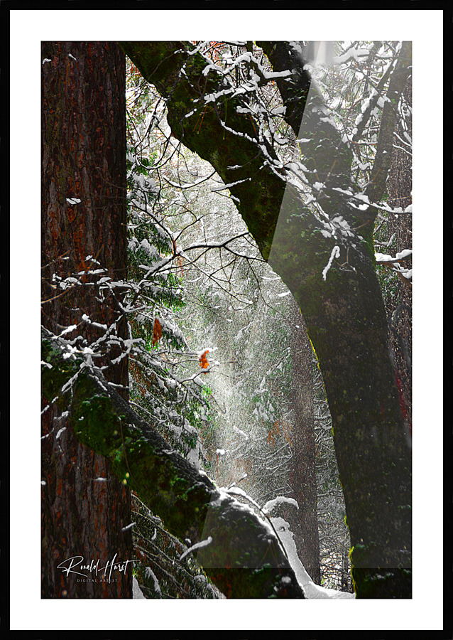 Blown Snow Picture Frame print