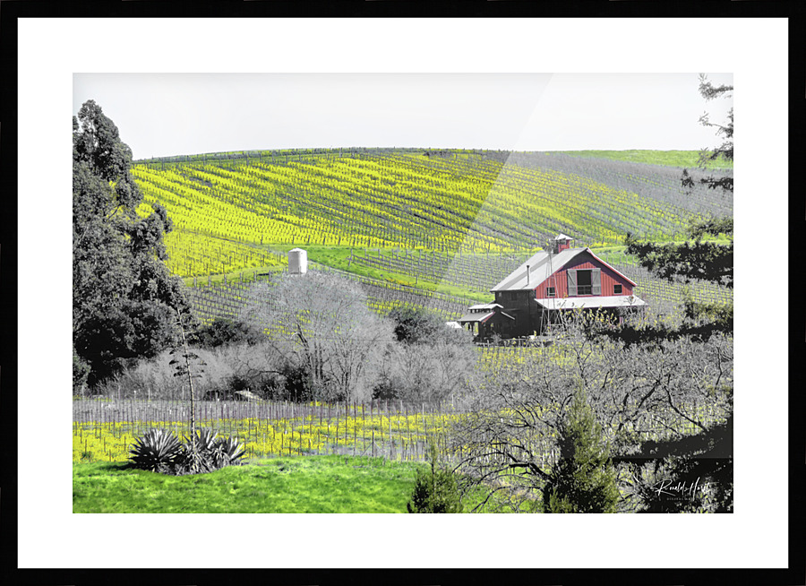 Blue Creek Ranch Picture Frame print