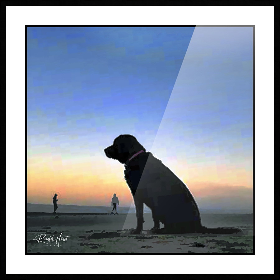 Dog Sunset Picture Frame print