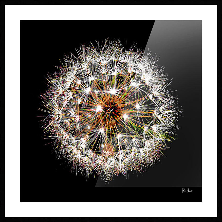 Delicate Picture Frame print