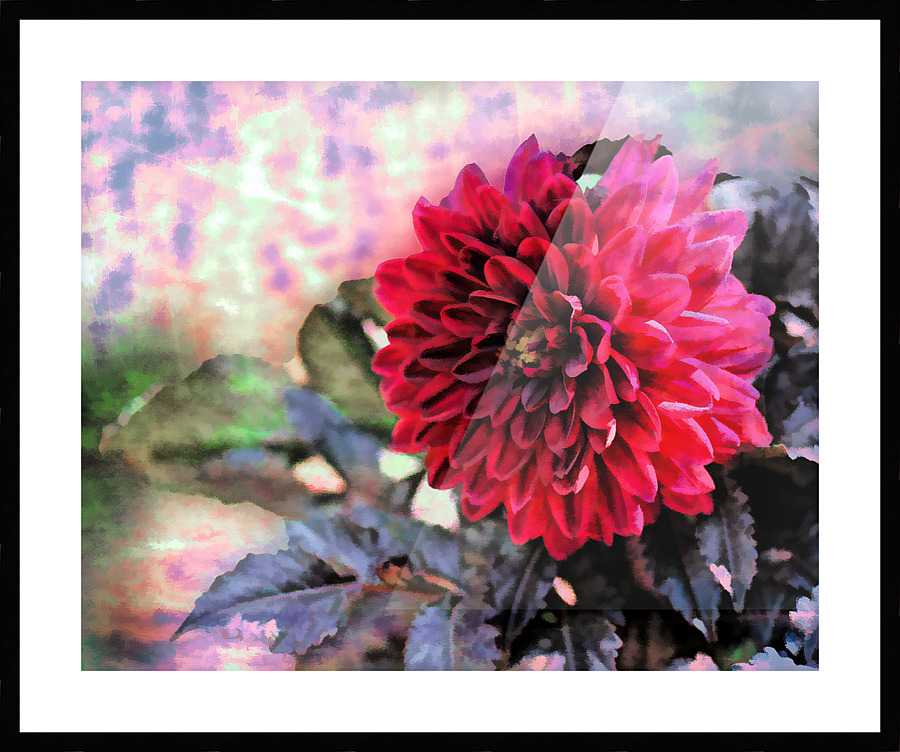 Delightful Picture Frame print