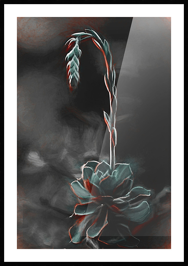 Elegant Picture Frame print