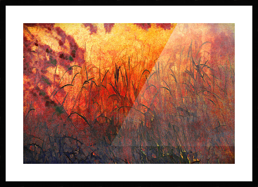 Grass Fire Picture Frame print