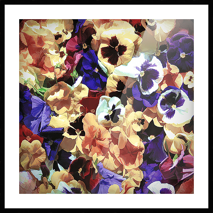 Muted Pansy s Picture Frame print