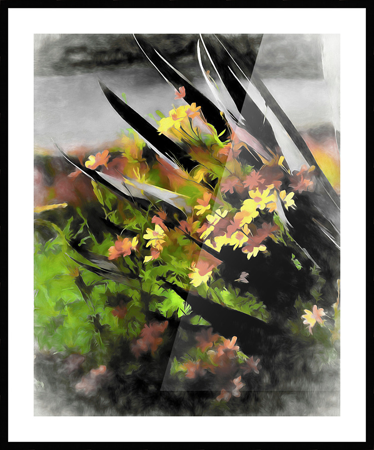 Last Light Picture Frame print