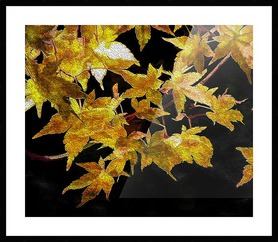 Autumn s Touch Picture Frame print