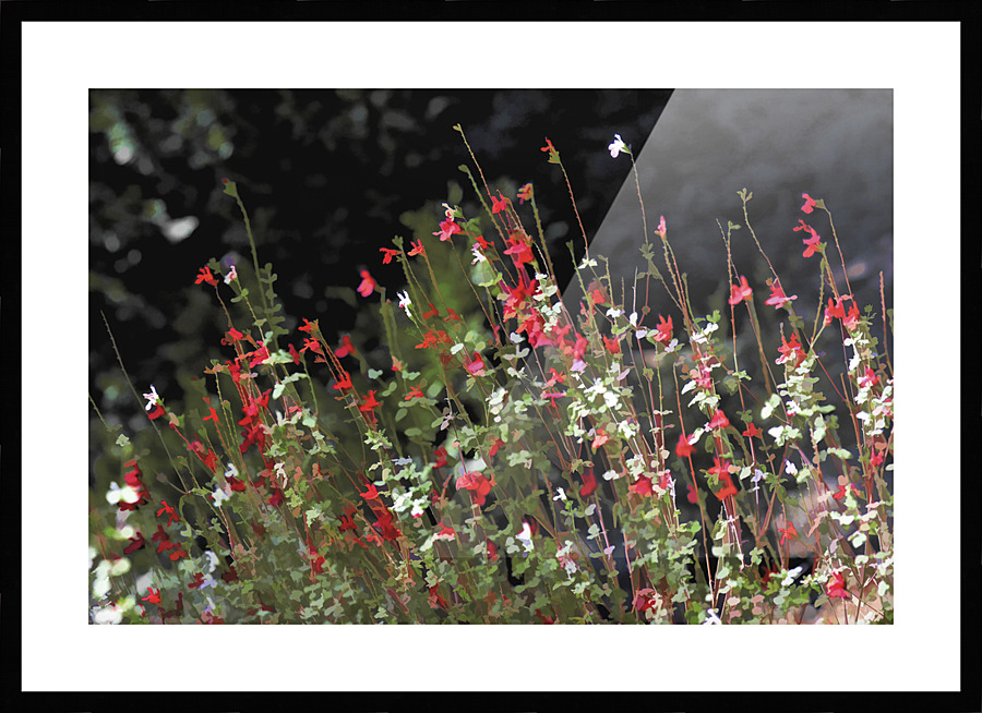 Painted Hot Lips Picture Frame print