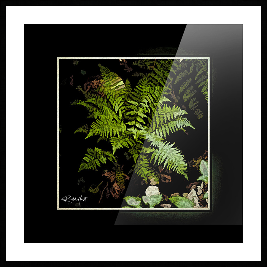 Wild Fern Picture Frame print