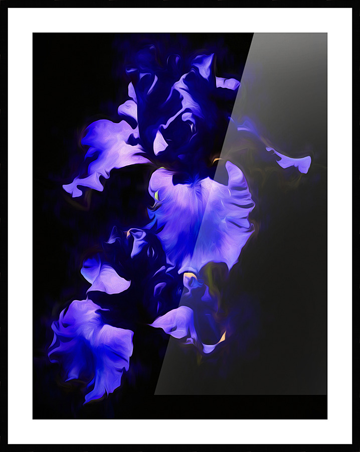 Blue Iris Picture Frame print
