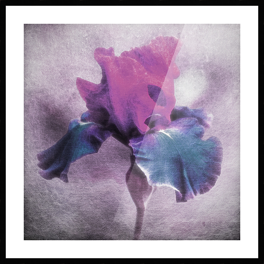 Dream Blossom Picture Frame print