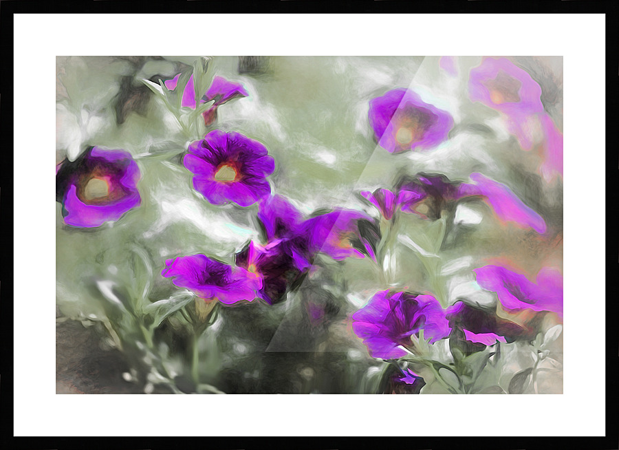 Purple Haze Picture Frame print