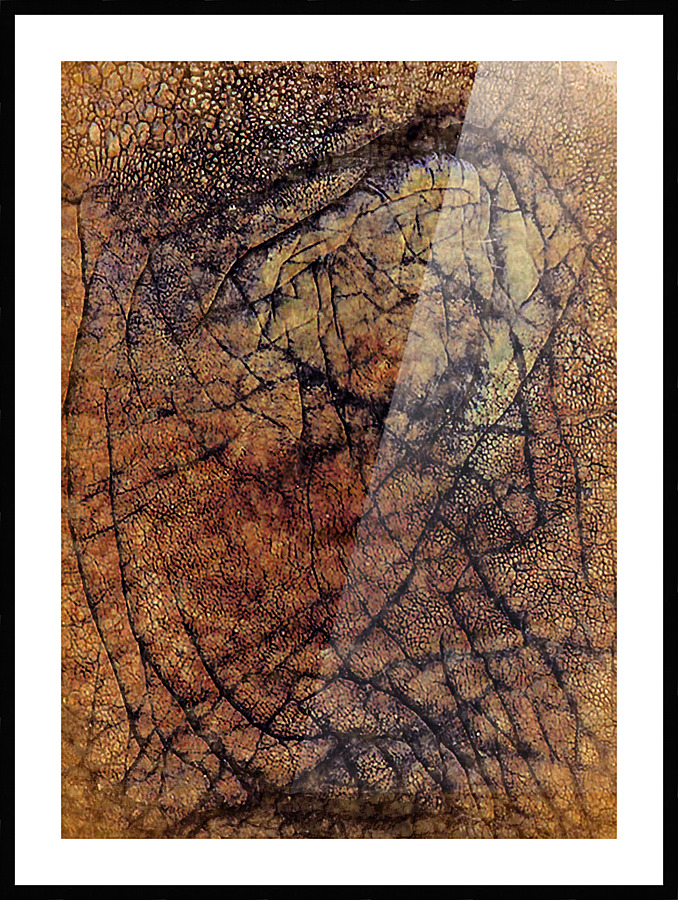 Elephant skin Picture Frame print