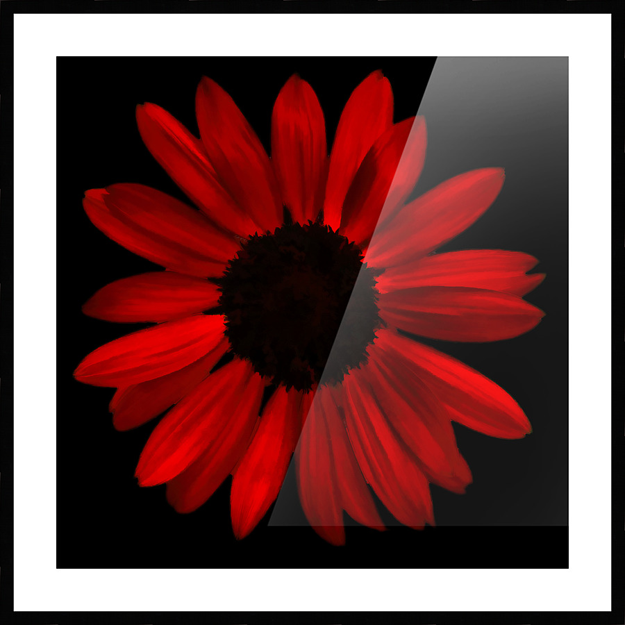 Red Sunflower pic Picture Frame print