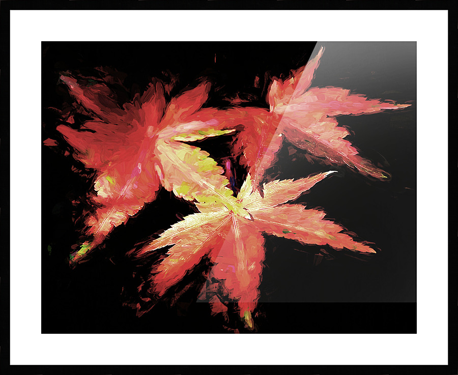 Three Leaves Picture Frame print