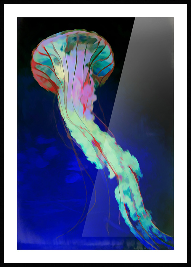 Jelly Fish Picture Frame print