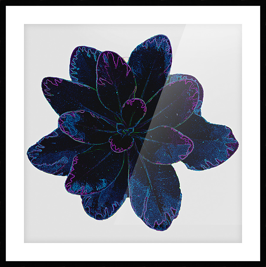 Blue Leaf Picture Frame print
