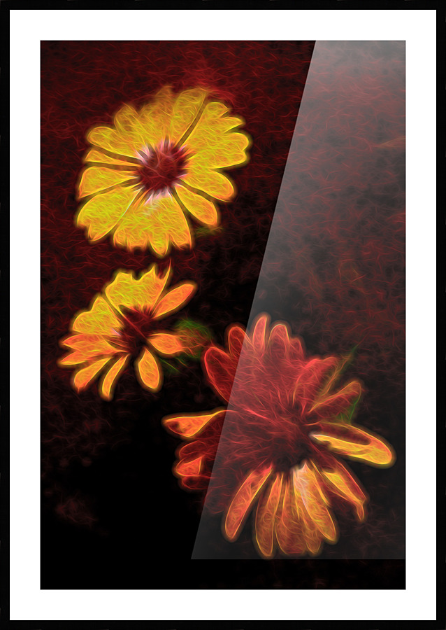 Bold and Beautiful Picture Frame print