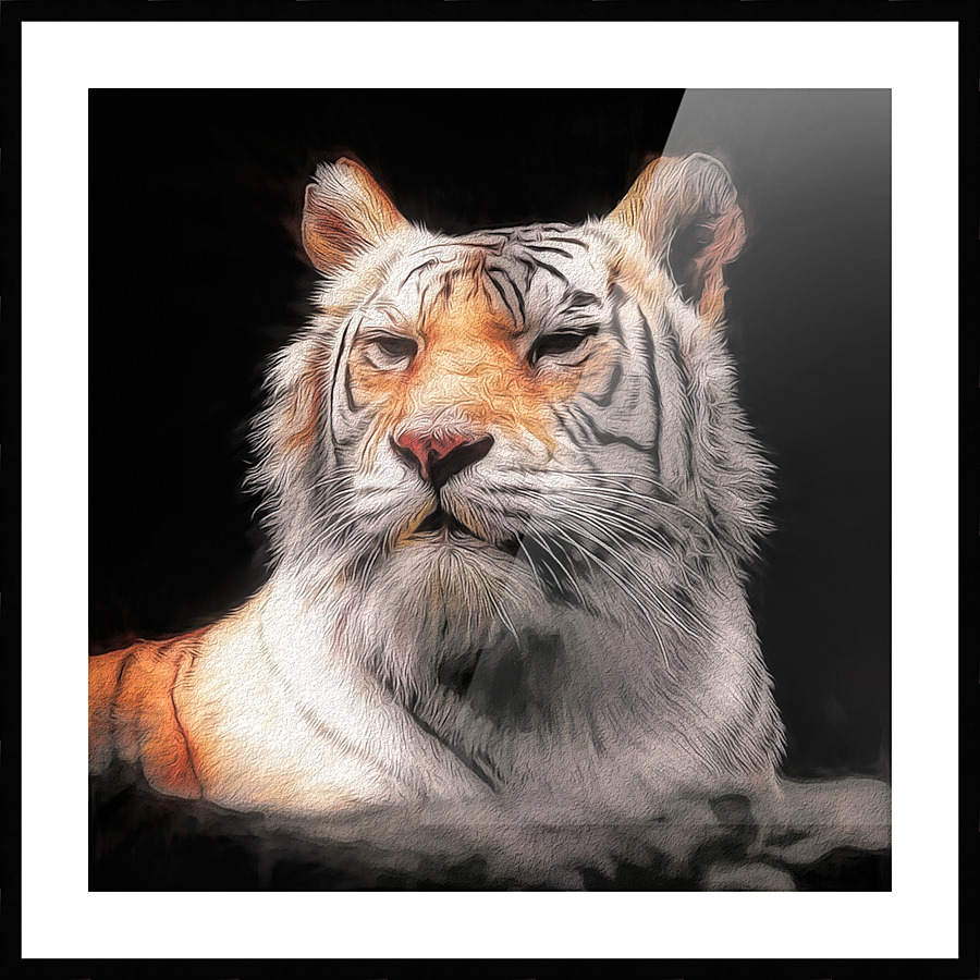 Tiger Picture Frame print