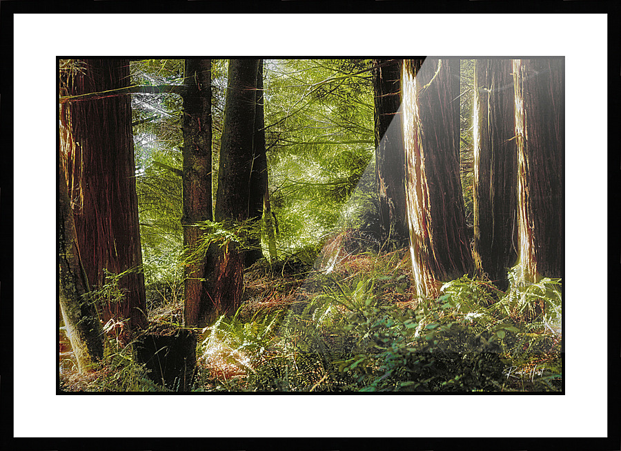 Early Morning Picture Frame print