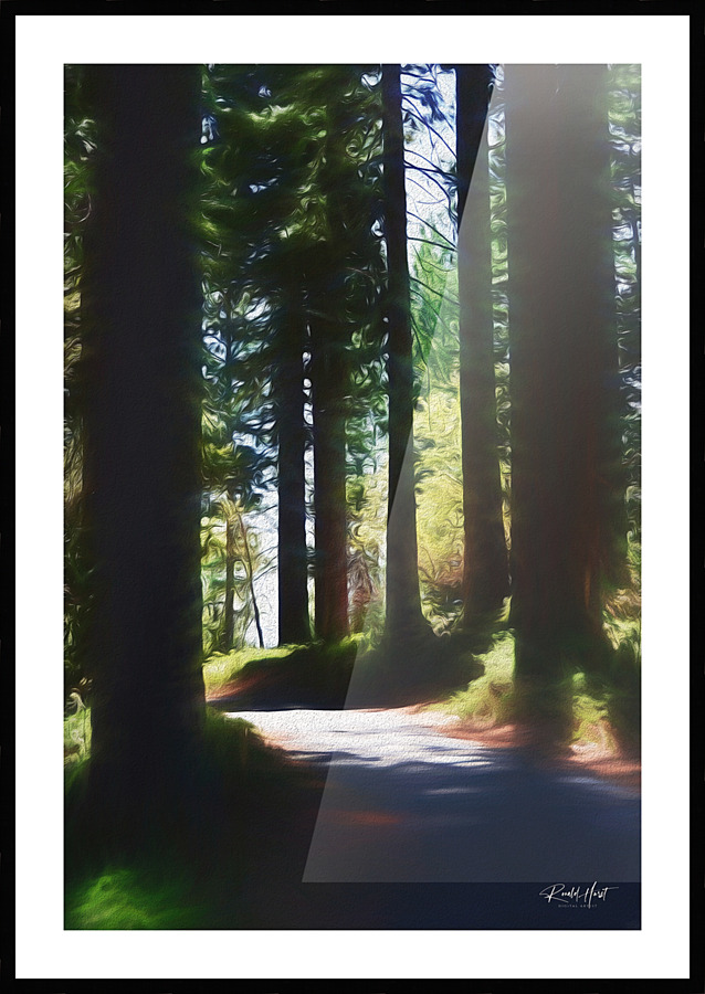 Forest Dream Picture Frame print