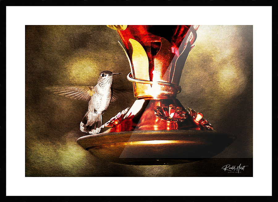 Hummer Picture Frame print