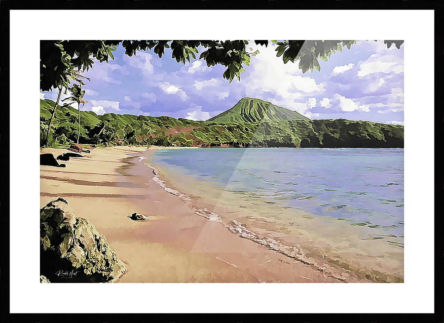 HBHawaii Picture Frame print