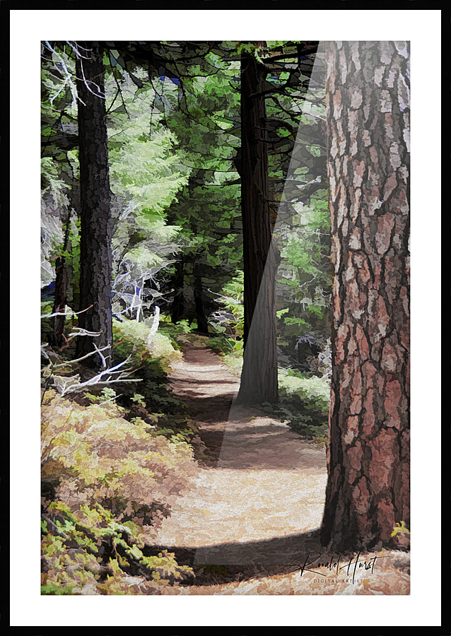 Hikers Trail Painted Picture Frame print